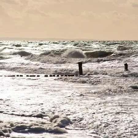 Strandhafer * Graal-Mueritz