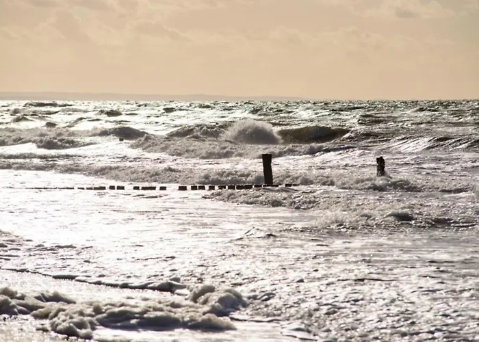 Strandhafer * Graal-Mueritz