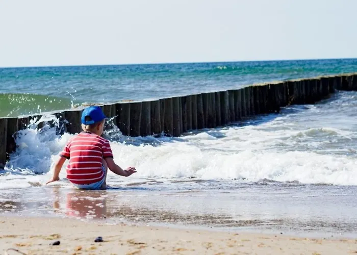 Strandhafer