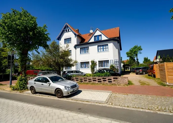Strandhafer